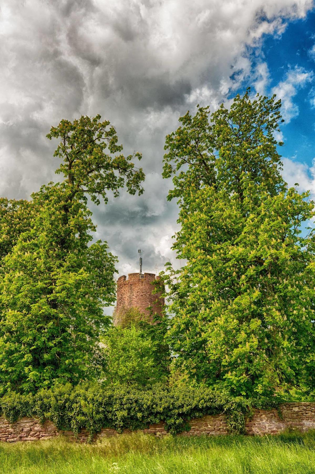 Veltheimsburg Hotell Bebertal Exteriör bild